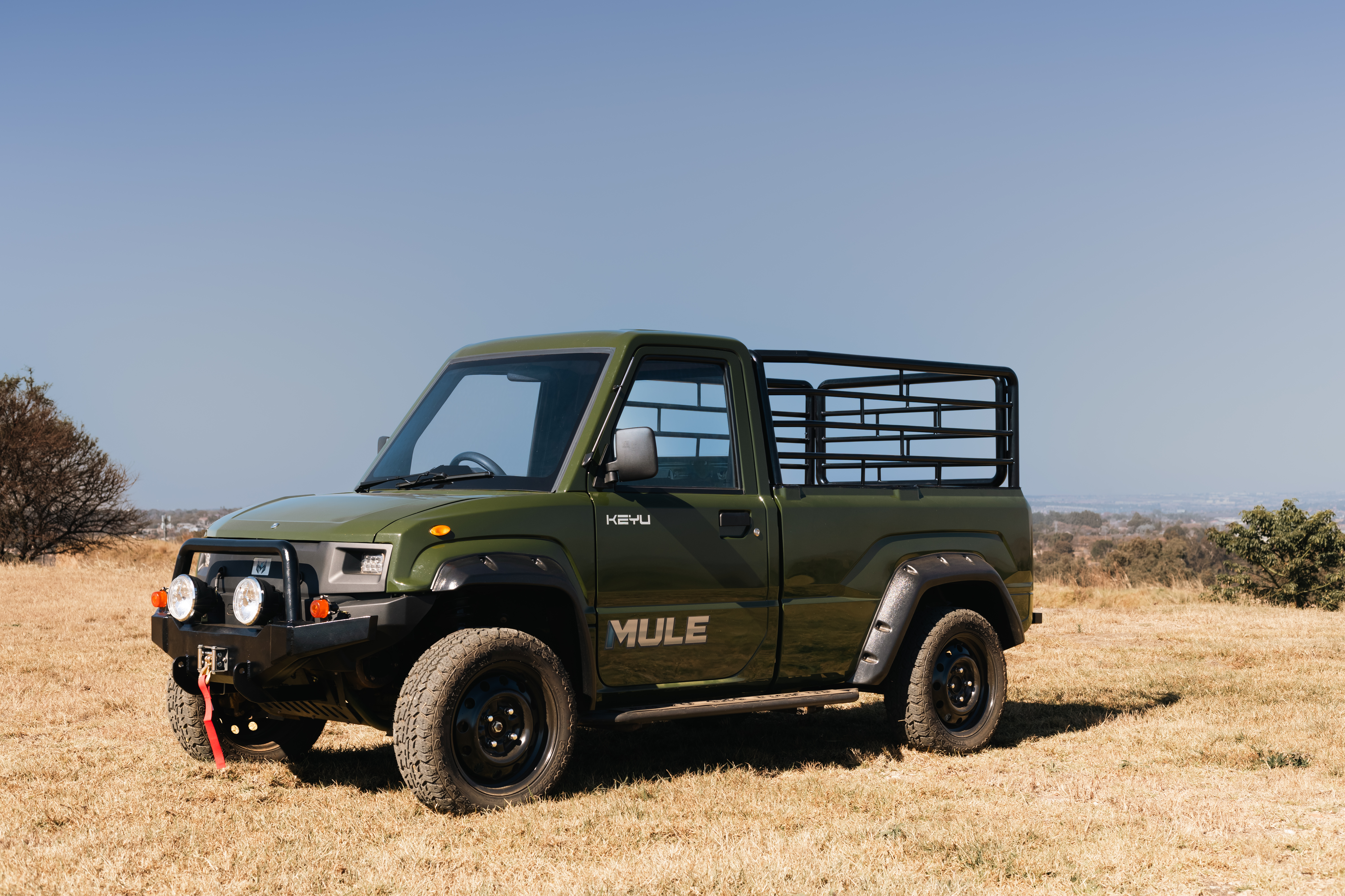 MULE photo